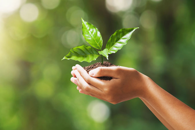 If nature is in free fall how can we best respond?